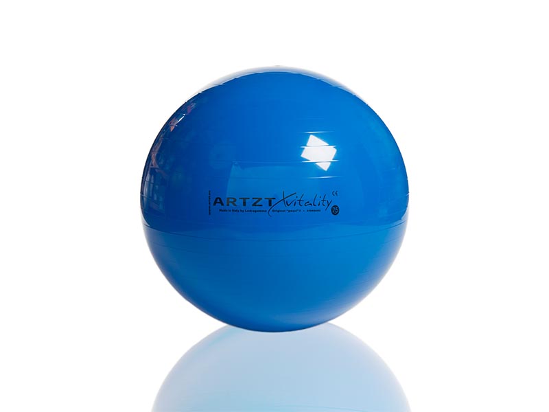 ARTZT vitality Fitness-Ball Standard