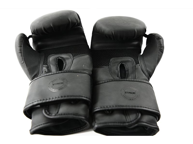 STRIDE Box Handschuhe (paar; 12oz)